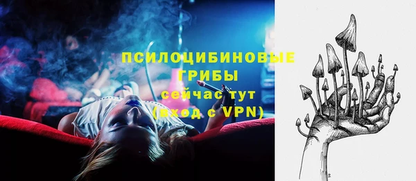 первитин Каменка