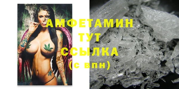 первитин Каменка