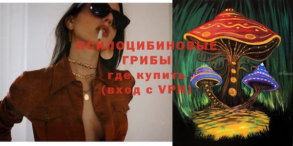 первитин Каменка