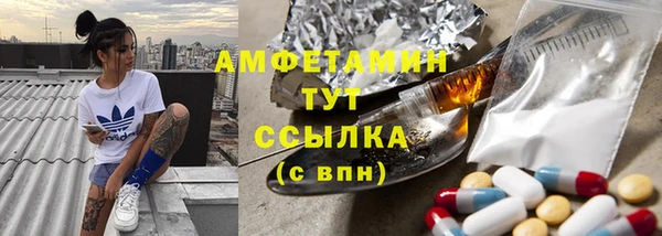 первитин Каменка
